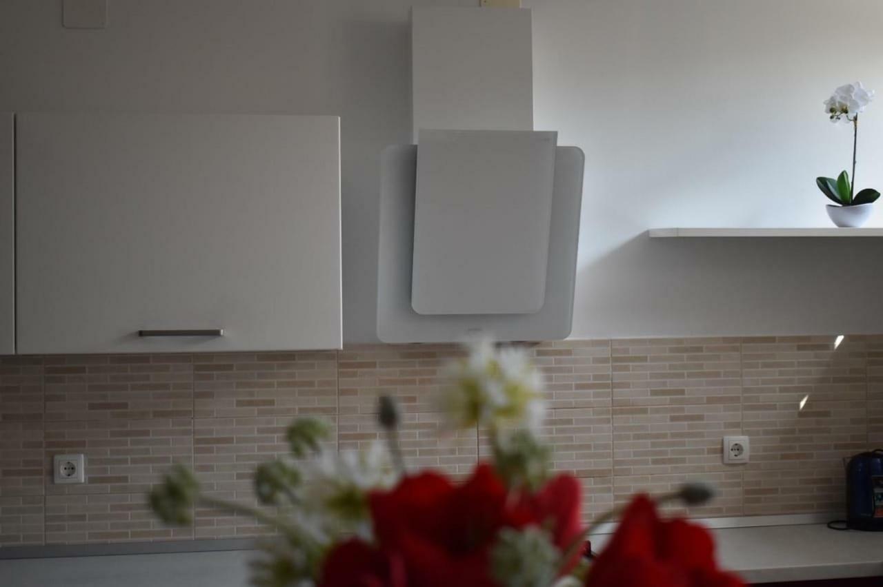 Fantasy Apartment Korčula Dış mekan fotoğraf