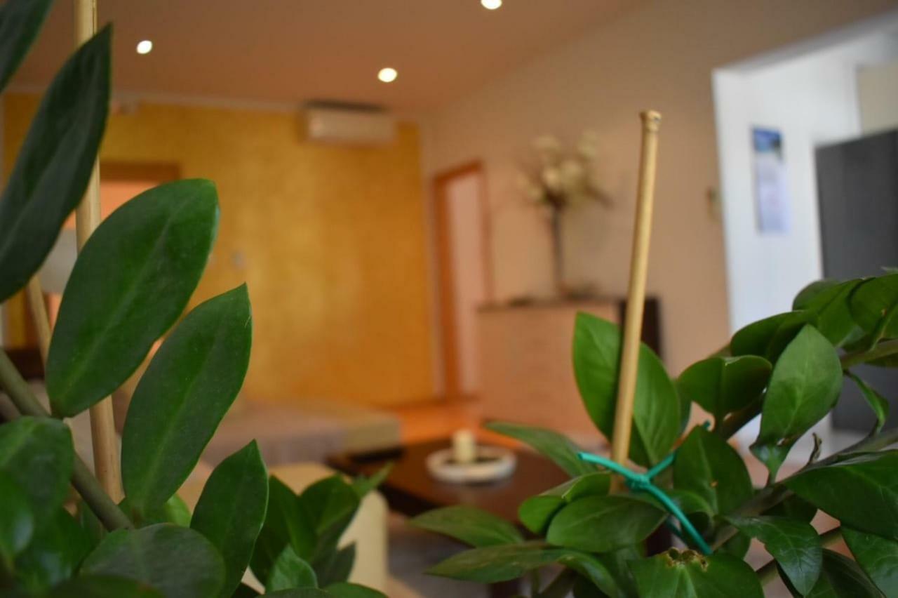 Fantasy Apartment Korčula Dış mekan fotoğraf